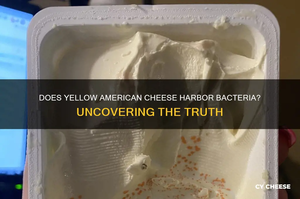 does yellow american cheese have bacteria in it