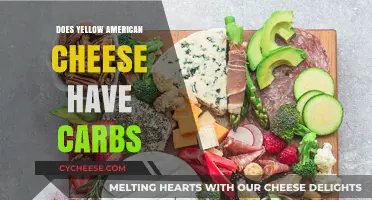 Yellow American Cheese: Carb-Free or Not?