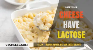 Does Yellow Cheese Have Lactose? Unraveling the Dairy Dilemma