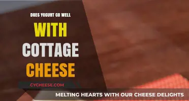 Yogurt and Cottage Cheese: A Perfect Pairing or Culinary Clash?