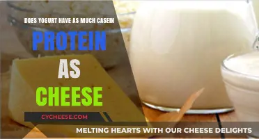 Yogurt vs. Cheese: Comparing Casein Protein Content in Dairy