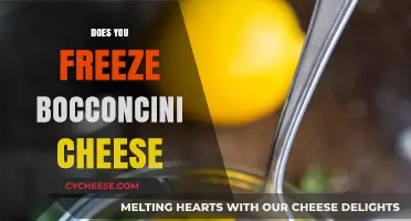 Can You Freeze Bocconcini Cheese? Tips for Storage and Freshness