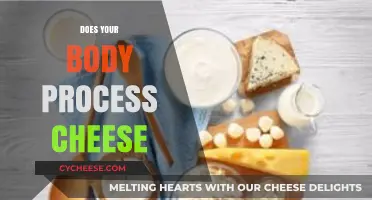 How Your Body Digests Cheese: A Breakdown of the Process