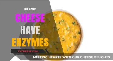 Does Zoup Cheese Contain Enzymes? Uncovering the Ingredients and Process