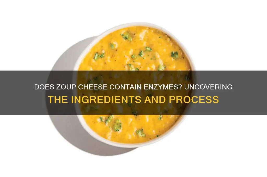 does zoup cheese have enzymes