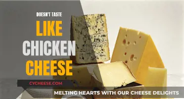 Chicken Cheese: A Unique Taste Experience