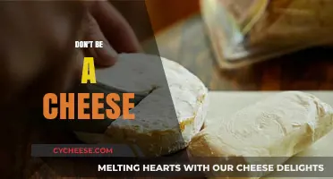 Avoid Being Basic: Why You Shouldn't Be a Cheese in Life