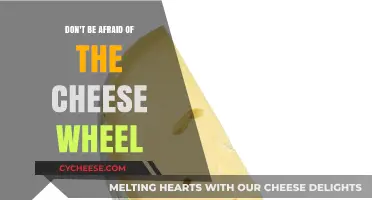 Embrace the Cheese Wheel: Overcoming Fear of Culinary Adventure