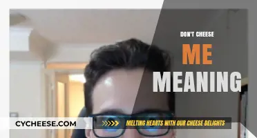 Don't Cheese Me Meaning: Decoding the Slang and Its Cultural Impact