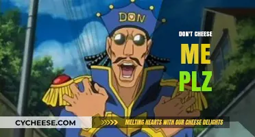 Don't Cheese Me Plz: Navigating Annoying Habits with Humor and Grace