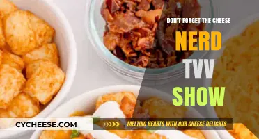 Don't Forget the Cheese: A Nerd's Guide to the TV Show
