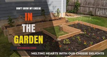 Avoid Garden Cheese: Why Your Dairy Doesn't Belong in the Soil
