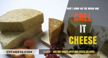 Avoid Lunar Leaps: Why Calling the Moon Cheese is Misleading