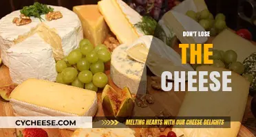 Don't Lose the Cheese: Preserving Flavor in Every Bite