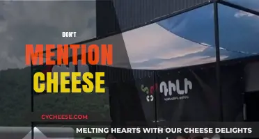 Unspoken Dairy Delights: Navigating Conversations Without Mentioning Cheese