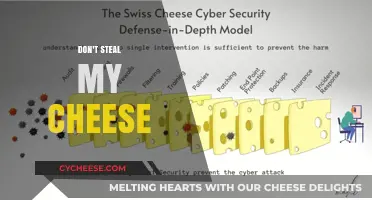 Protect Your Cheese: Strategies to Safeguard Your Success and Resources