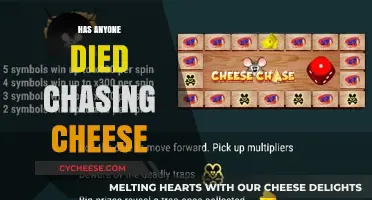 Deadly Cheese Chase: Uncovering Fatal Pursuits of the Rolling Dairy Delight