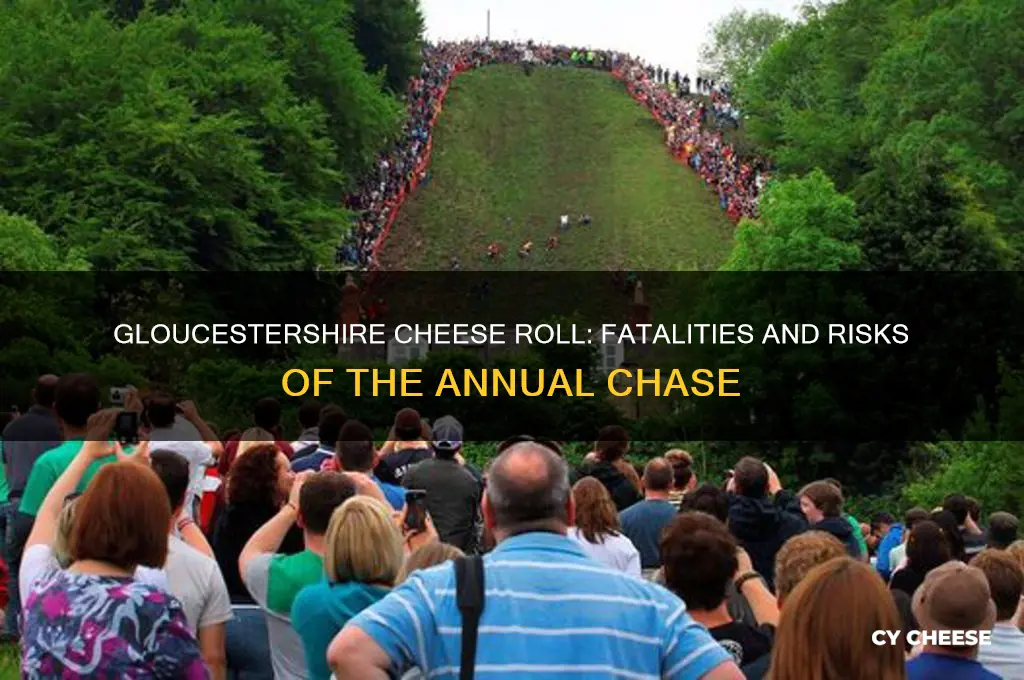 has anyone died doing the gloucestershire cheese roll