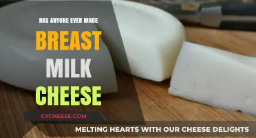 Breast Milk's Cheesy Adventure: A Unique Culinary Journey