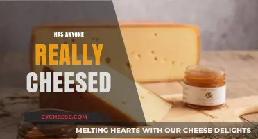 Has Anyone Really Cheesed? Unraveling the Mystery of a Viral Phrase