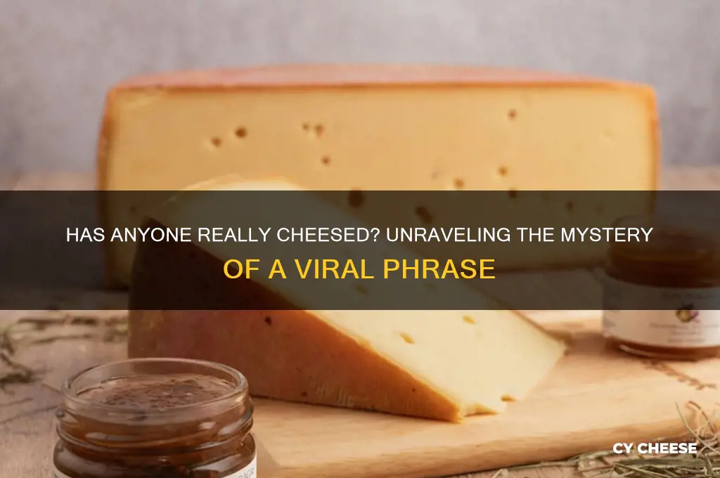 has anyone really cheesed