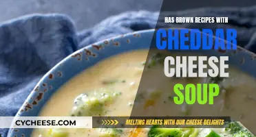 Brown Recipes: Cheddar Cheese Soup Delights