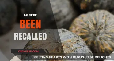 Recent Cheese Recalls: What You Need to Know Now