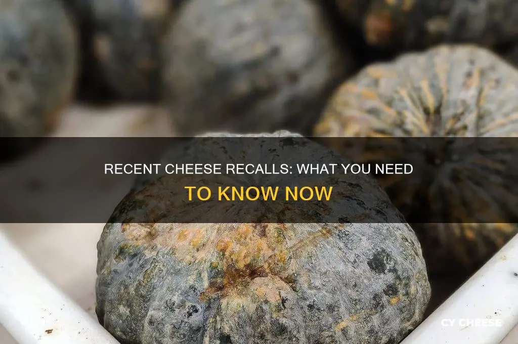 has cheese been recalled