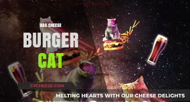 Has Cheese Burger Cat Gone Viral? Exploring the Hilarious Meme Sensation