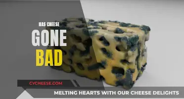 Cheese Gone Bad: How to Tell and What to Do