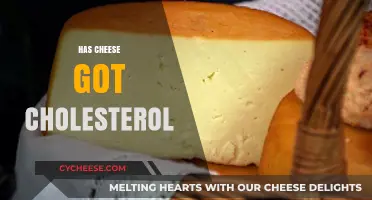 Does Cheese Contain Cholesterol? Uncovering the Truth About Dairy Fats