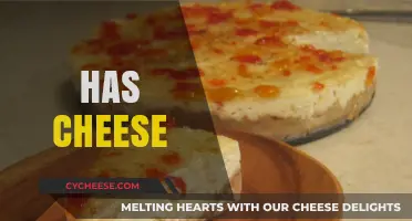 Has Cheese: Exploring Its Role in Global Cuisine and Culture