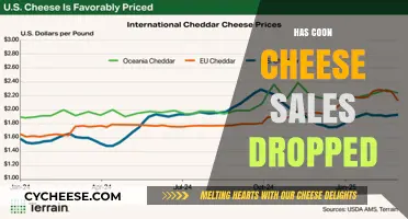 Coon Cheese Sales Decline: Analyzing Market Trends and Consumer Shifts