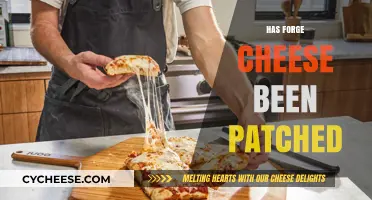 Has Forge Cheese Been Patched? Latest Updates and Workarounds