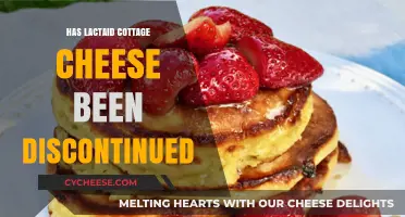 Is Lactaid Cottage Cheese Discontinued? Latest Updates and Alternatives