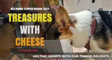 Is Purina's Cheese Tasty Treasures Still Available? Find Out Now
