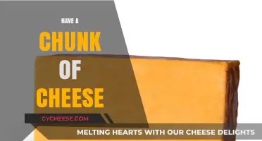 Savor the Creamy Delight: Why You Should Have a Chunk of Cheese