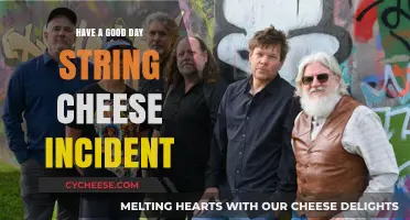 String Cheese Incident: A Recipe for a Good Day
