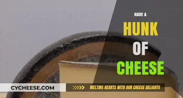 Savor the Creamy Delight: Indulge in a Hunk of Cheese