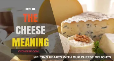 Understanding the Idiom 'Have All the Cheese': Origins and Modern Usage