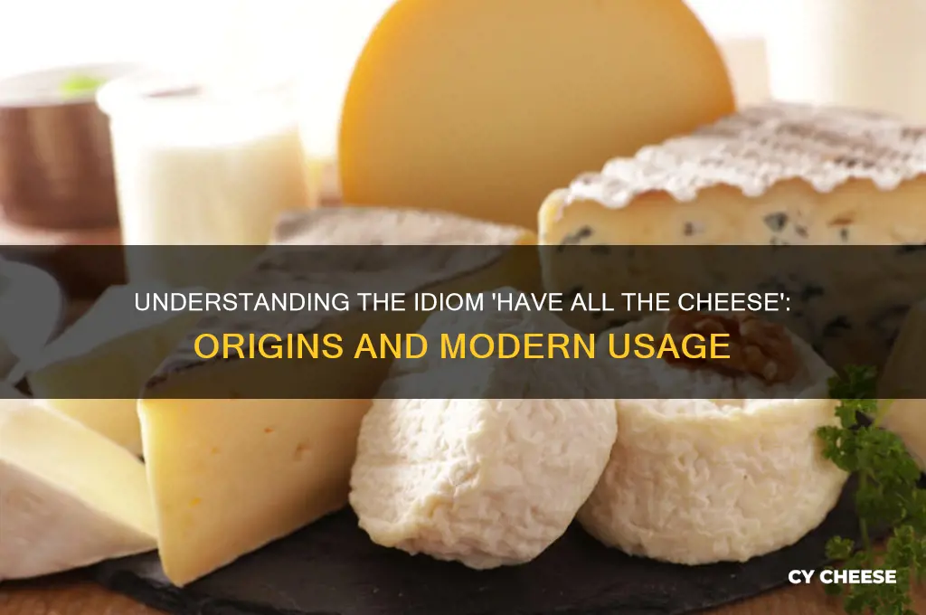 have all the cheese meaning