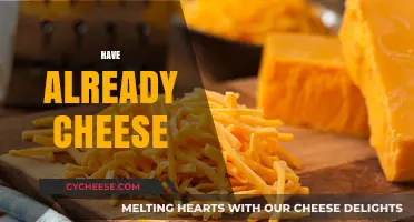 Already Have Cheese? Creative Ways to Elevate Your Culinary Creations