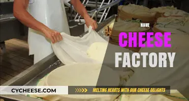 Crafting Creamy Delights: A Guide to Starting Your Own Cheese Factory