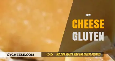 Does Cheese Contain Gluten? A Comprehensive Guide for Cheese Lovers