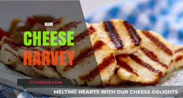 Have Cheese Harvey: A Delicious Twist on a Classic Comfort Dish