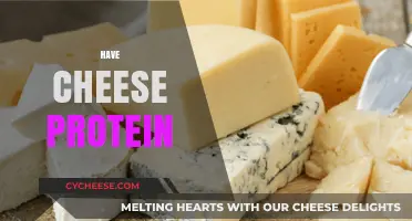 Cheese Protein Power: Unlocking Nutritional Benefits and Health Advantages