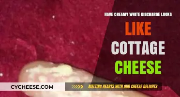 Understanding Cottage Cheese-Like Discharge: Causes, Concerns, and When to Seek Help