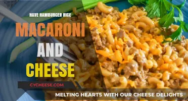 Delicious Comfort Food: Hamburger Rice Mac and Cheese