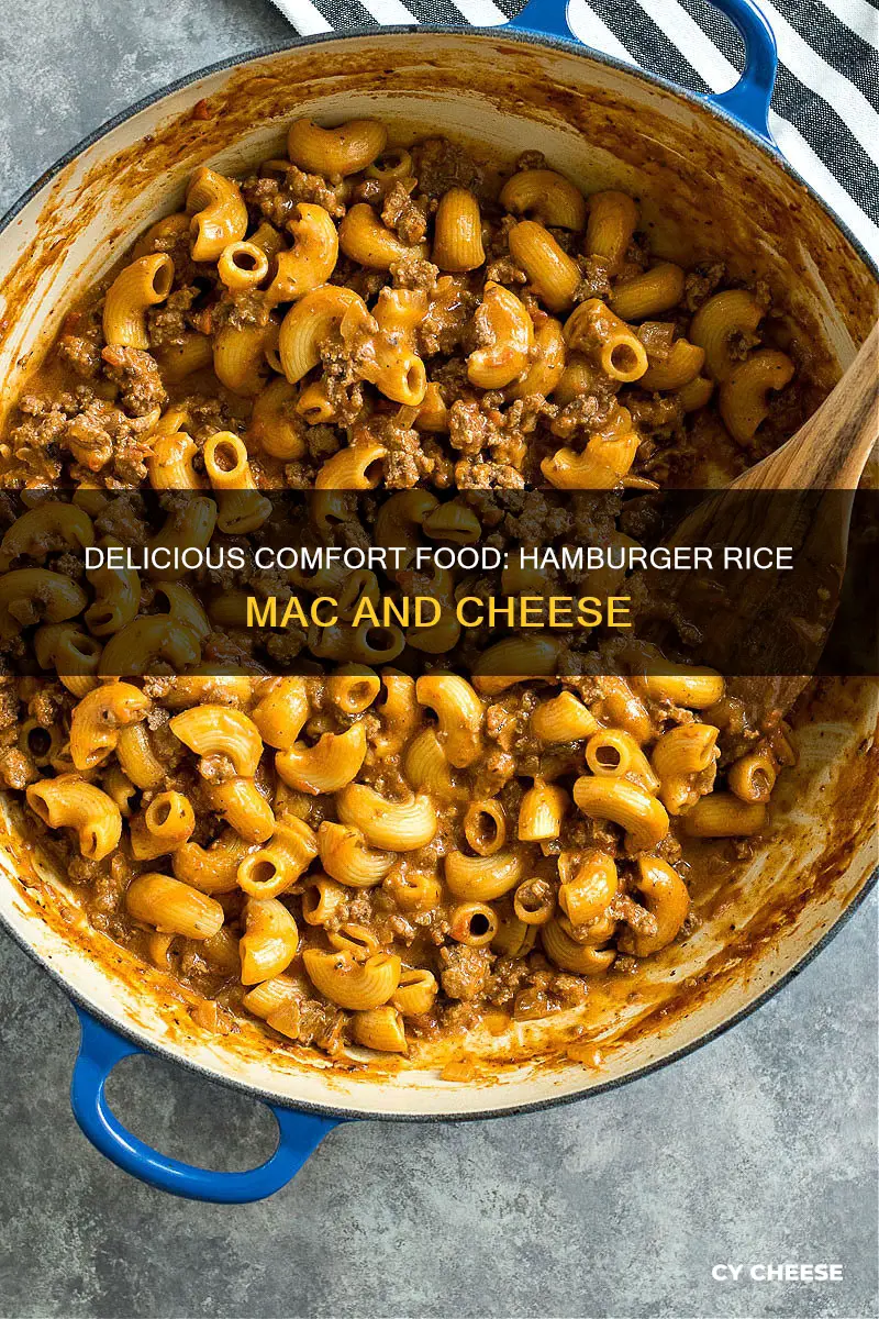 have hamburger rice macaroni and cheese