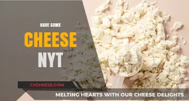 Savor the Flavor: Exploring the Cheese Spotlight in NYT Features